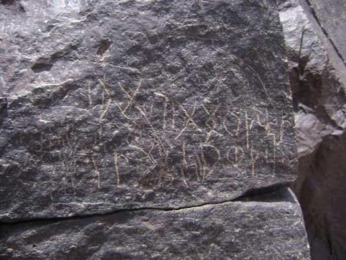 الشرعي ضركام7